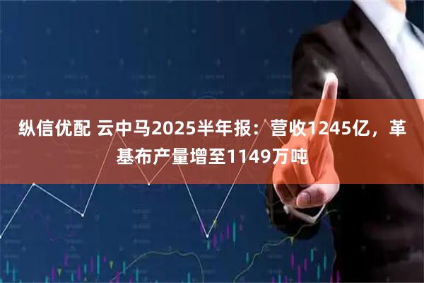 纵信优配 云中马2025半年报：营收1245亿，革基布产量增至1149万吨