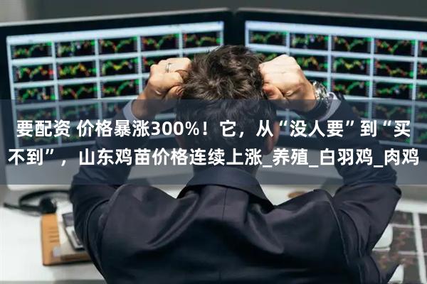 要配资 价格暴涨300%！它，从“没人要”到“买不到”，山东鸡苗价格连续上涨_养殖_白羽鸡_肉鸡