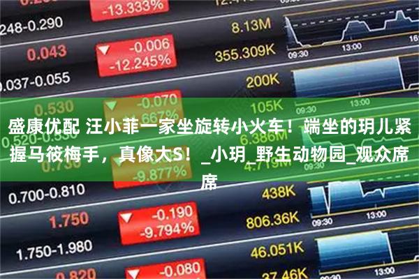 盛康优配 汪小菲一家坐旋转小火车！端坐的玥儿紧握马筱梅手，真像大S！_小玥_野生动物园_观众席