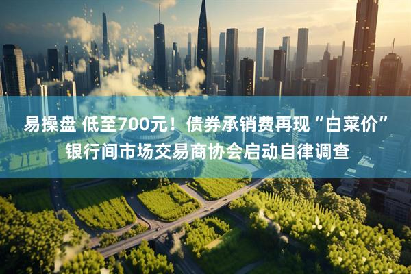 易操盘 低至700元！债券承销费再现“白菜价” 银行间市场交易商协会启动自律调查