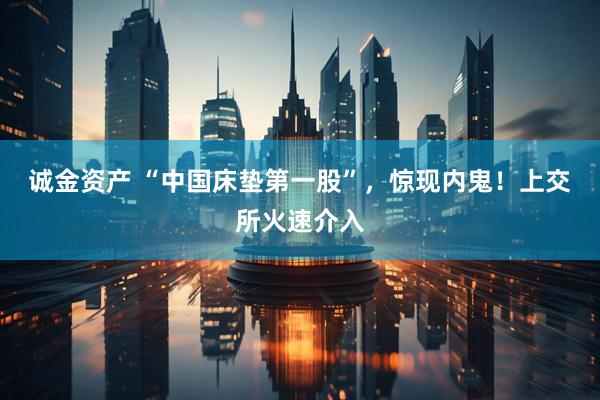 诚金资产 “中国床垫第一股”，惊现内鬼！上交所火速介入