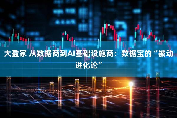 大盈家 从数据商到AI基础设施商：数据宝的“被动进化论”